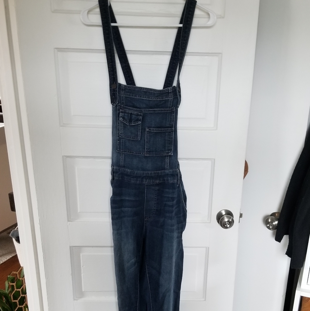 Free People Overalls